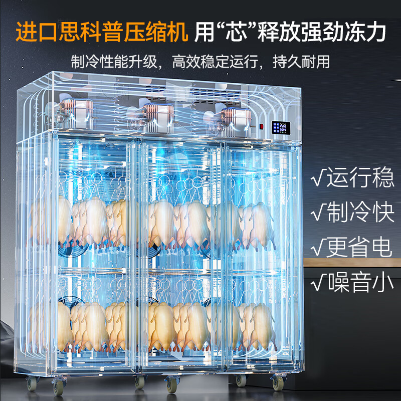 快三导师带计划赚钱商用晾胚柜节能至尊款2280W三门烤鸭风干柜